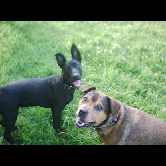 Meet your Posher, Kelly - Picture 5 of 10